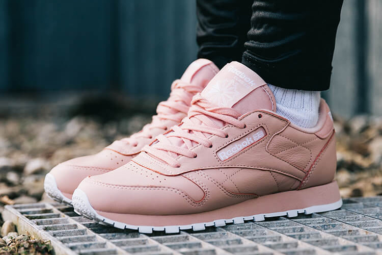 Puma-roses