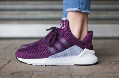 Climacool_adidas_baskets_violet